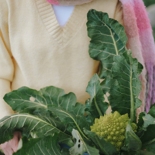 Gut Health Is Everywhere. But There’s No Miracle Food.